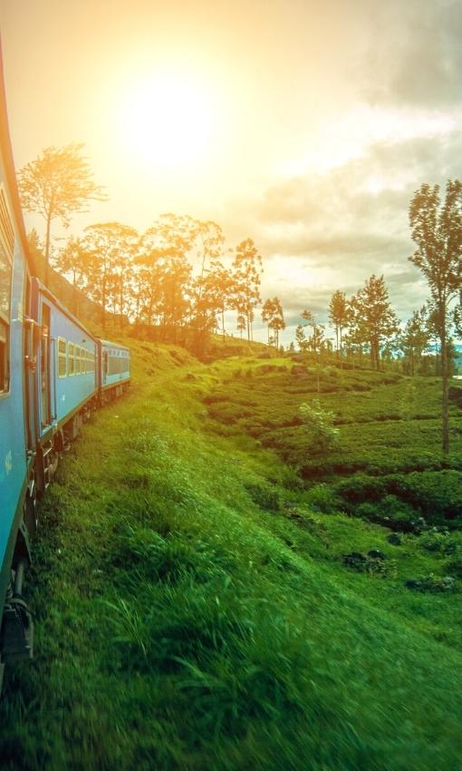 Sri Lanka Reise buchen. Individuelle Reise mit dem Zug