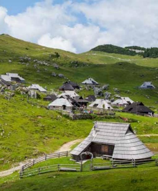 Berghirten in Slowenien auf der Städtereise nach Ljubjana besuchen