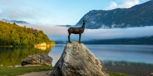 Busreise nach Slowenien, nach Bohinj zum Frühlingsfest